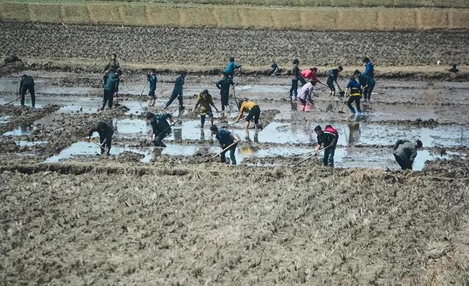 凯发k8国际凯发k8娱乐k8凯发官网版下载首页登录去了趟朝鲜终于明白为何朝鲜游越来越热沿途见闻让我印象深刻(图6)