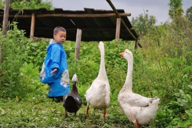 凯发k8一触即发途家民宿：“含娃量”超标！亲子游占暑期民宿预订六成以上(图2)